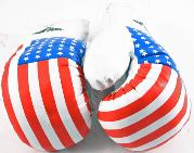 1 Pair (USA)  16oz Boxing Gloves